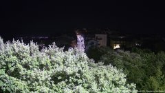view from ACUTO on 2026-07-13