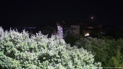 view from ACUTO on 2026-07-23