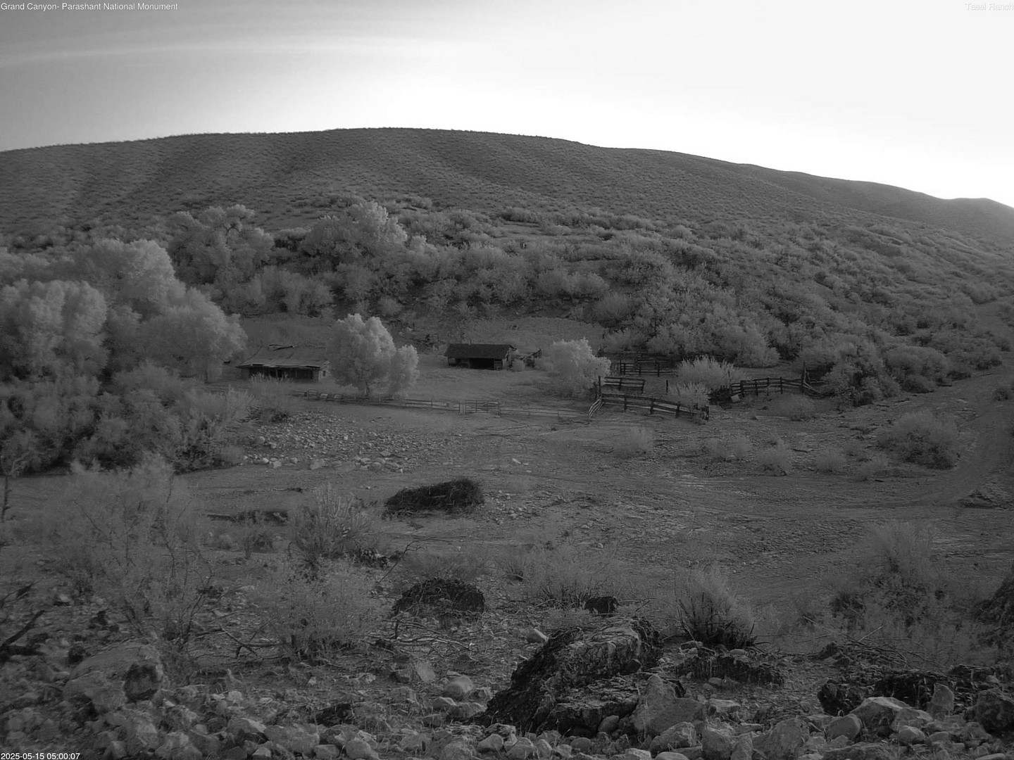 time-lapse frame, Tassi Ranch webcam