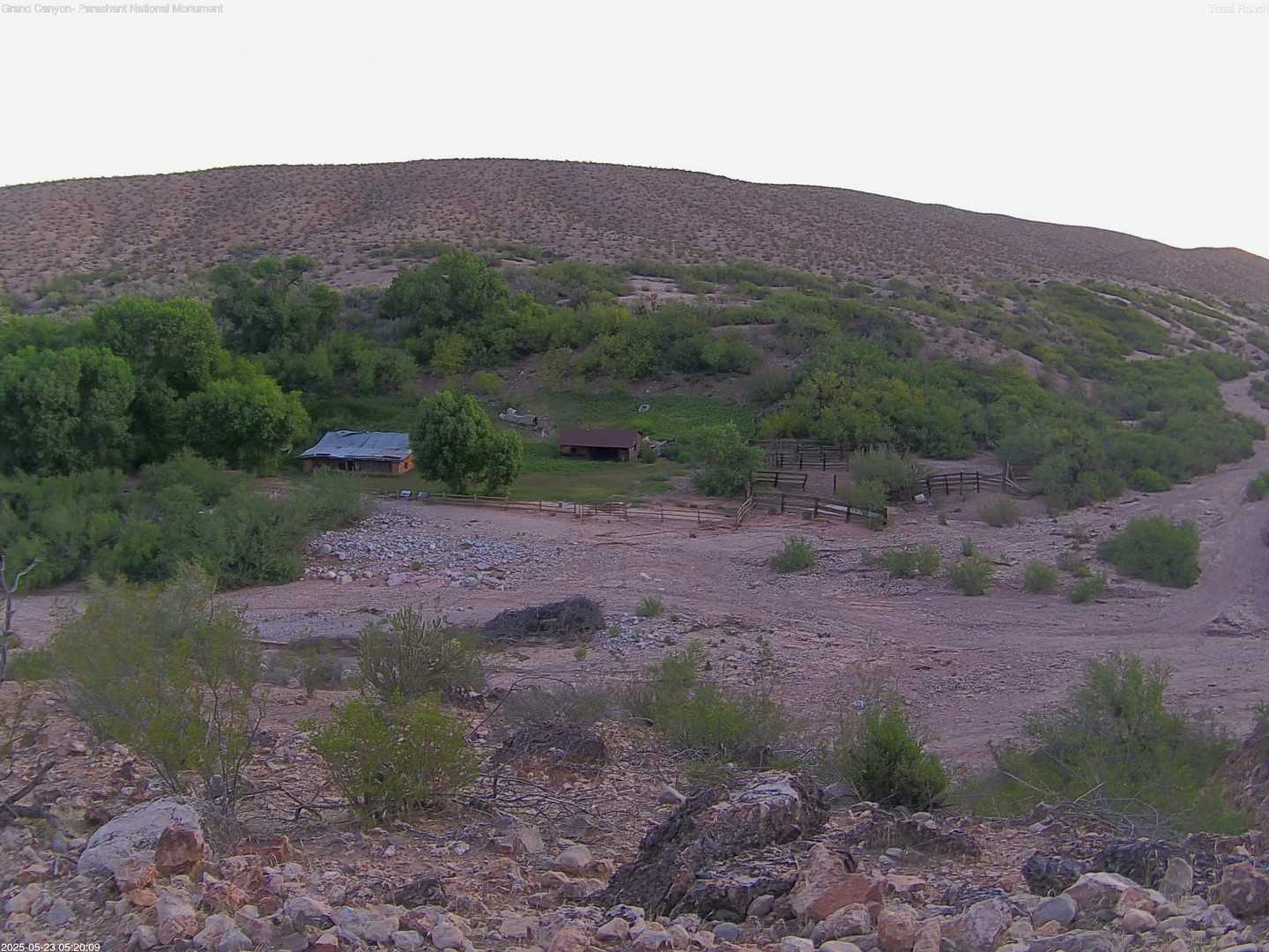 time-lapse frame, Tassi Ranch webcam