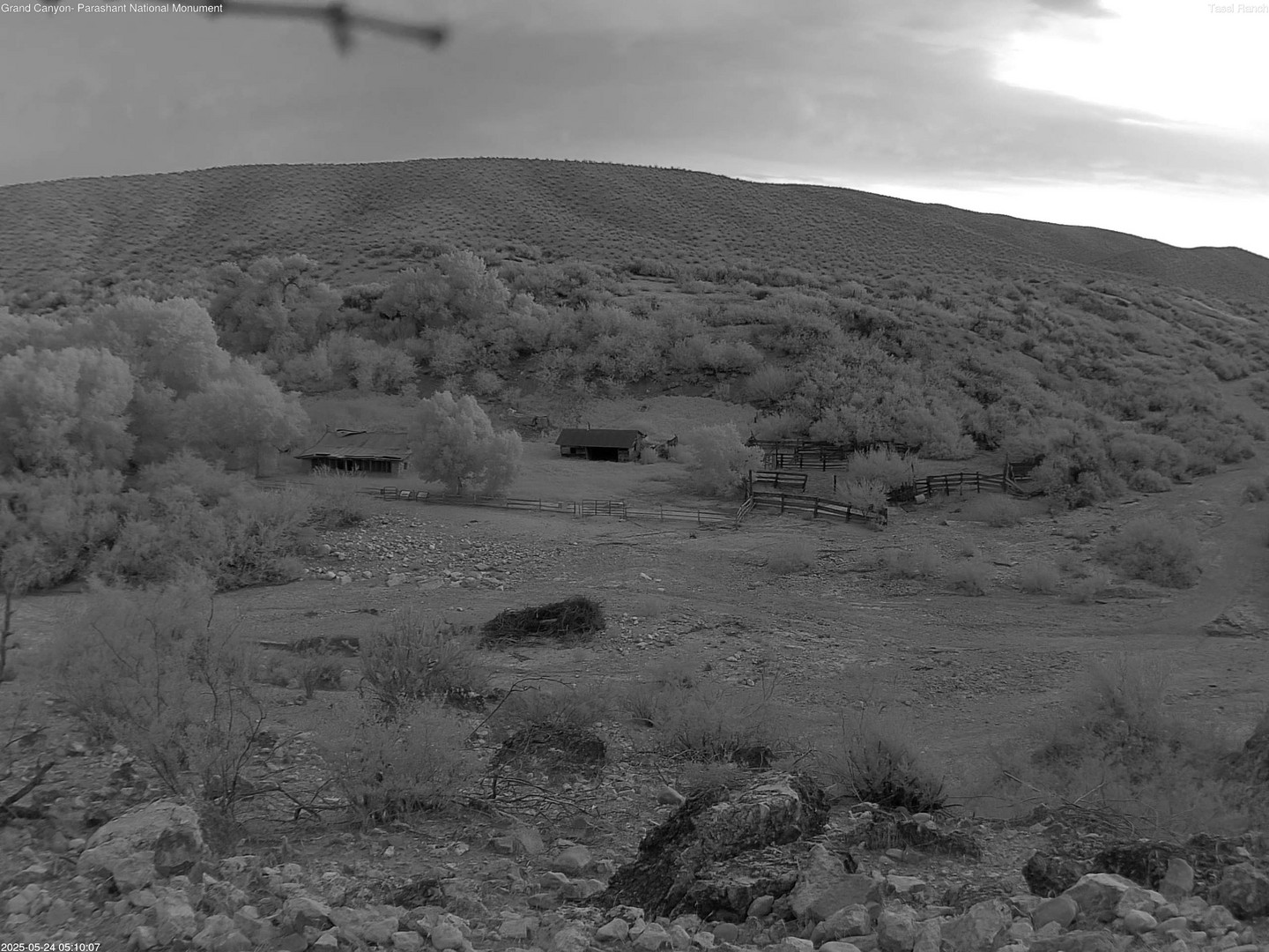 time-lapse frame, Tassi Ranch webcam