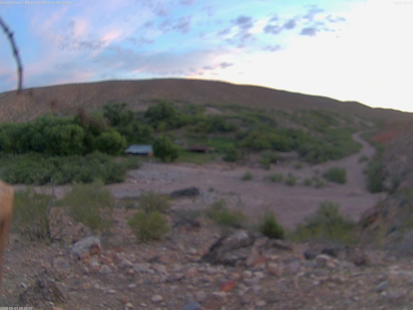 time-lapse frame, Tassi Ranch webcam