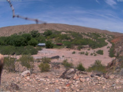 view from Tassi Ranch on 2025-05-27