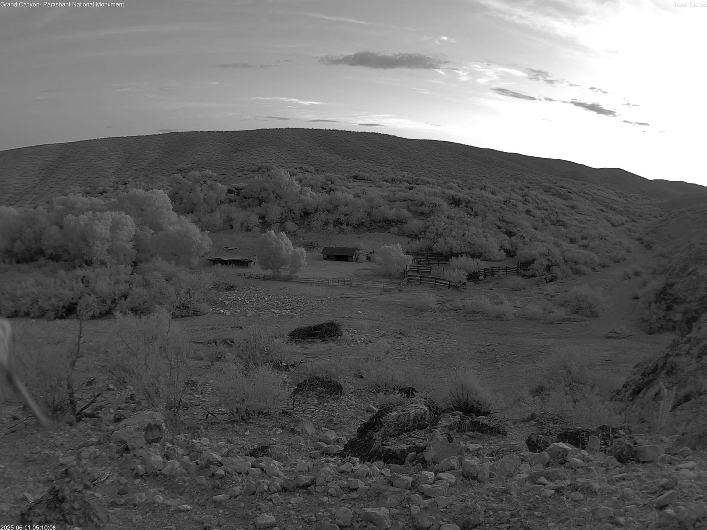time-lapse frame, Tassi Ranch webcam