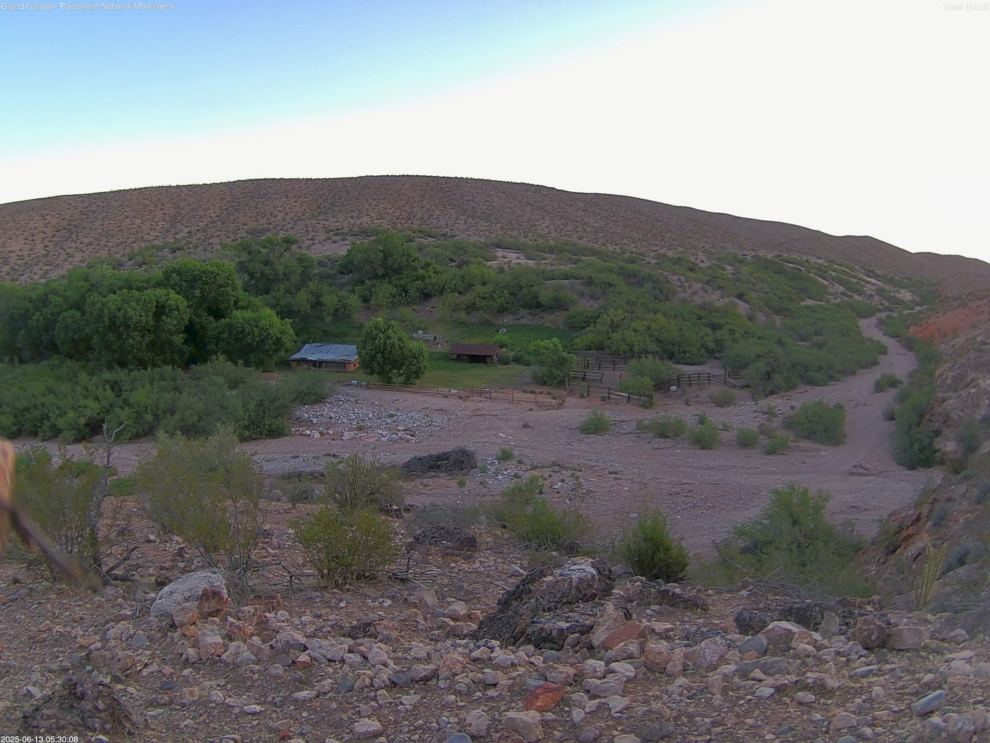 time-lapse frame, Tassi Ranch webcam