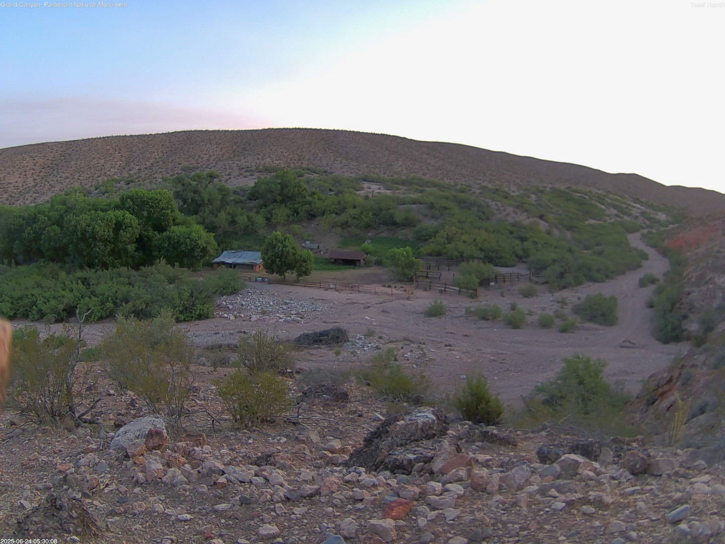 time-lapse frame, Tassi Ranch webcam