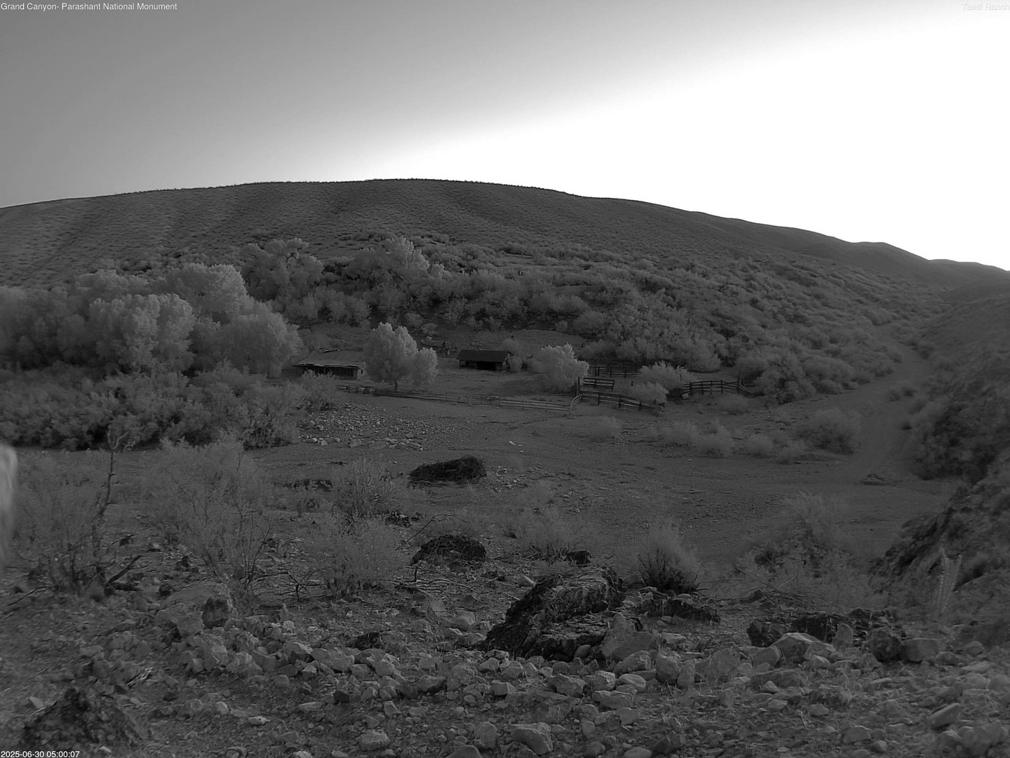 time-lapse frame, Tassi Ranch webcam