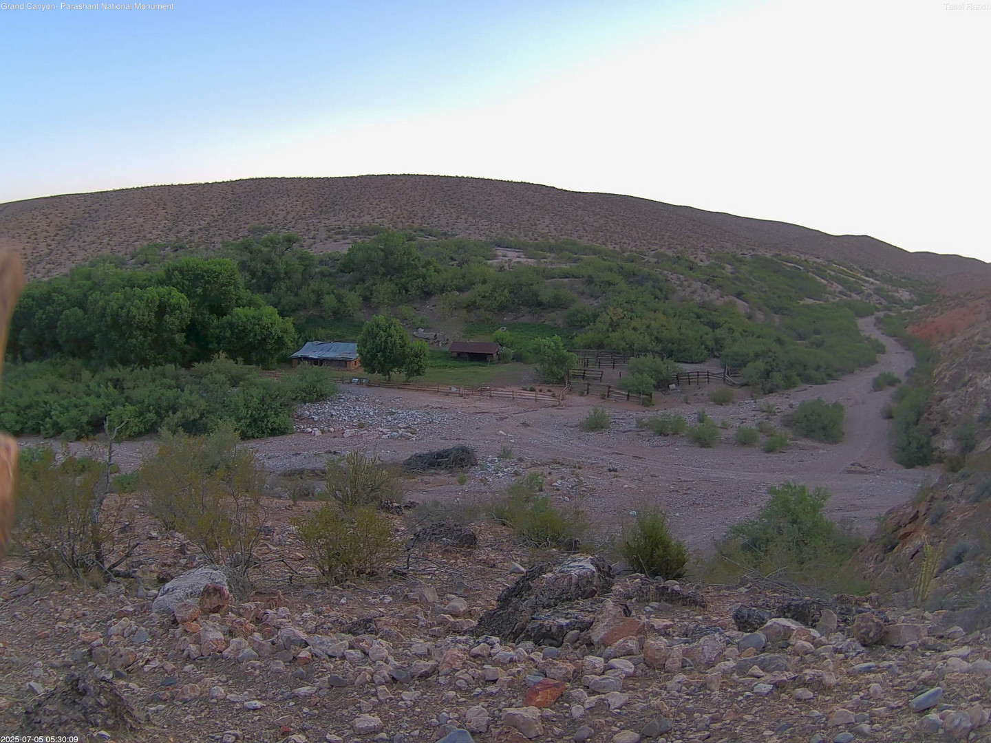 time-lapse frame, Tassi Ranch webcam