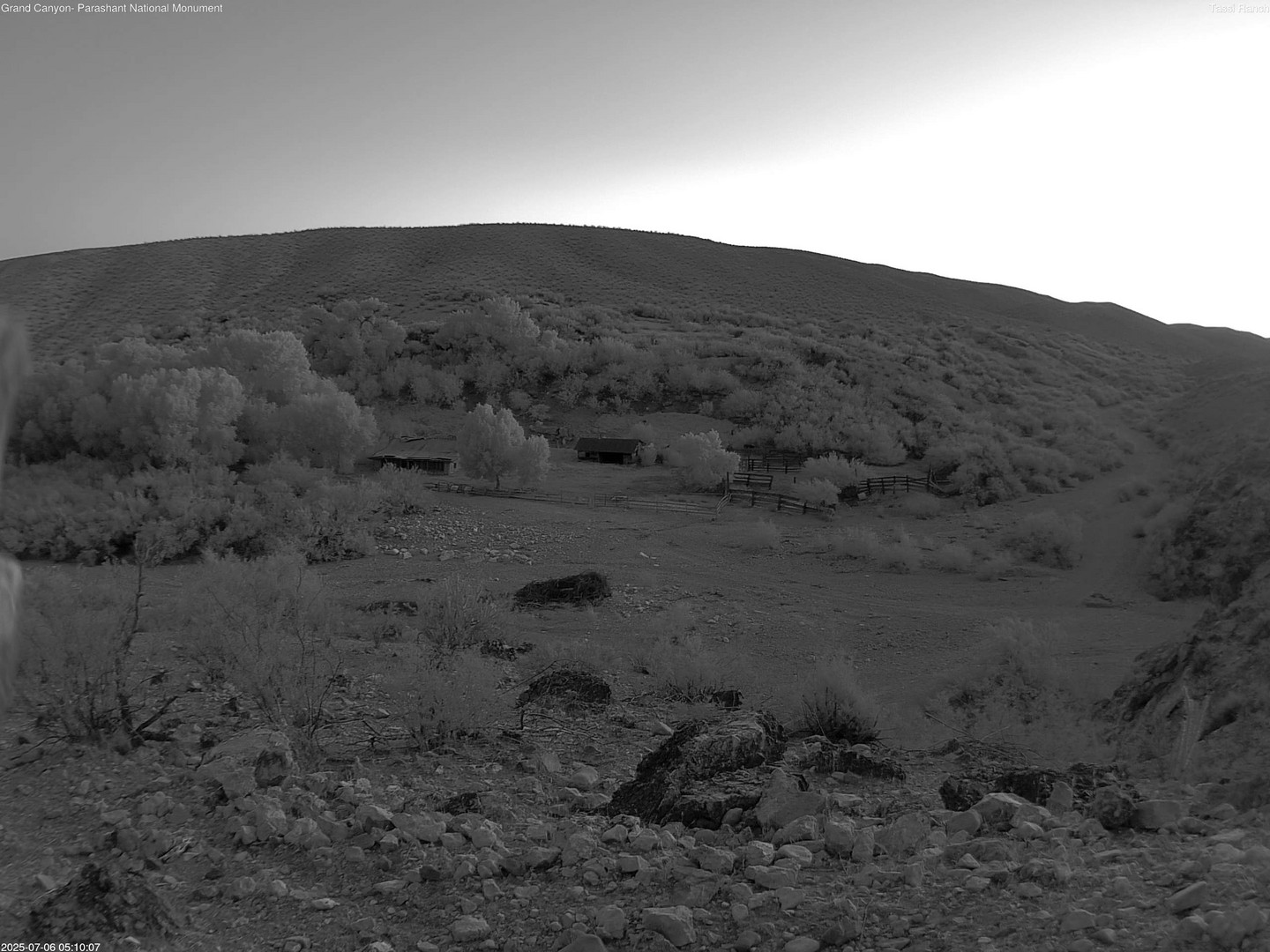 time-lapse frame, Tassi Ranch webcam