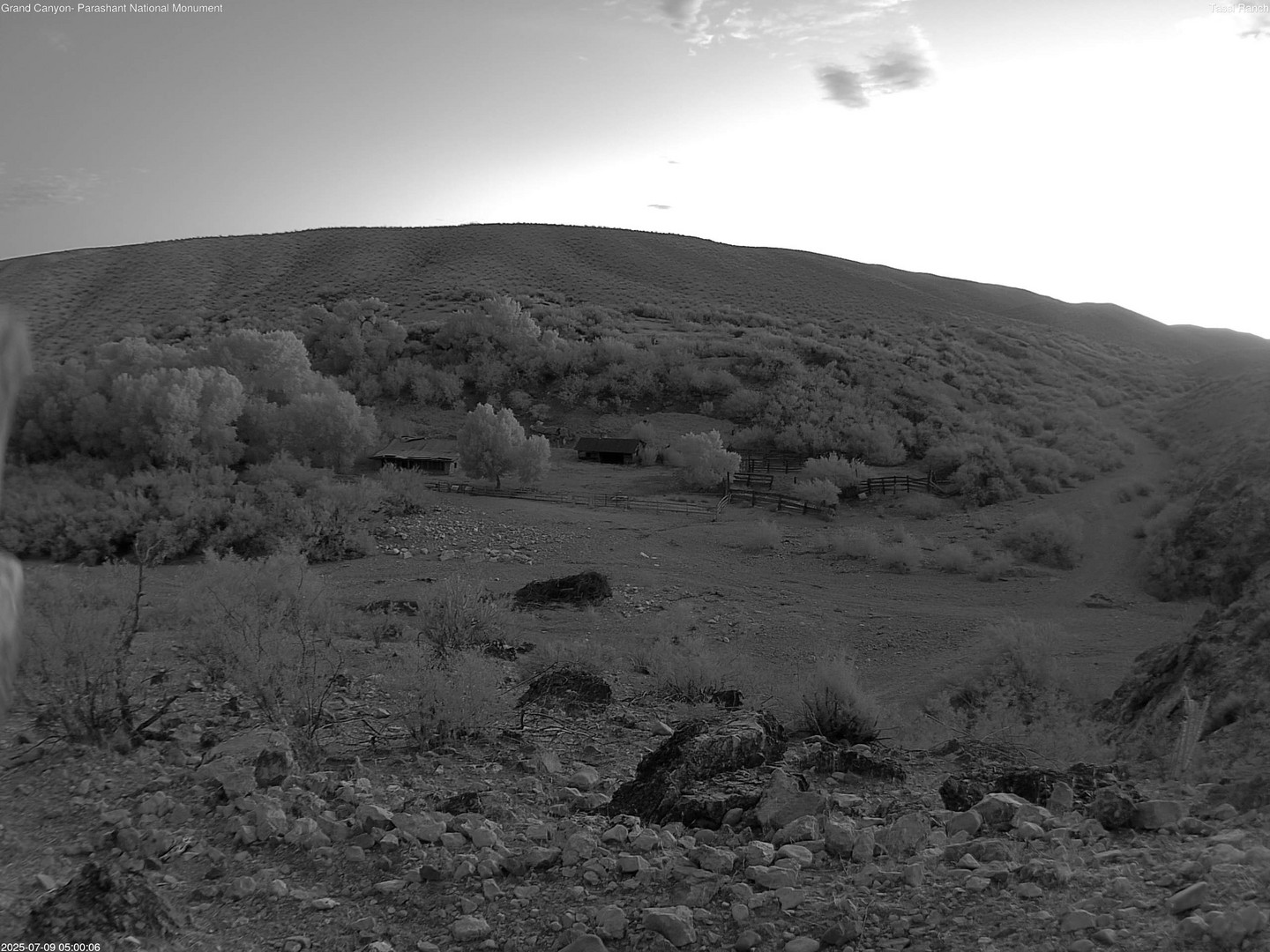 time-lapse frame, Tassi Ranch webcam