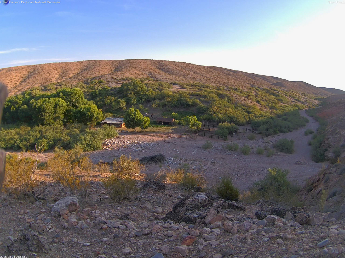 time-lapse frame, Tassi Ranch webcam