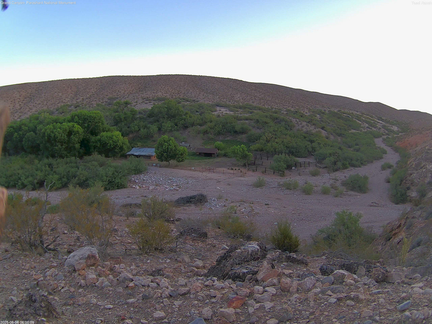 time-lapse frame, Tassi Ranch webcam
