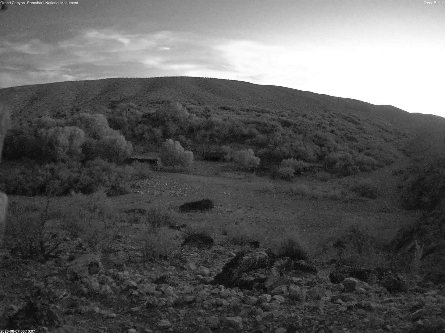 time-lapse frame, Tassi Ranch webcam