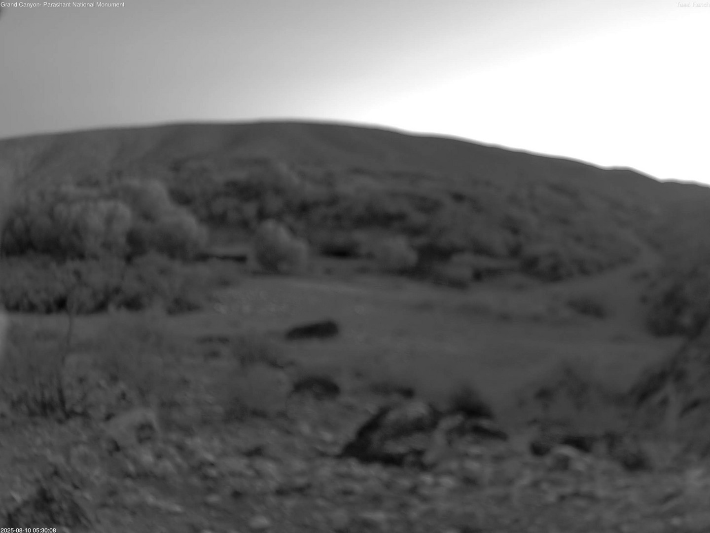 time-lapse frame, Tassi Ranch webcam