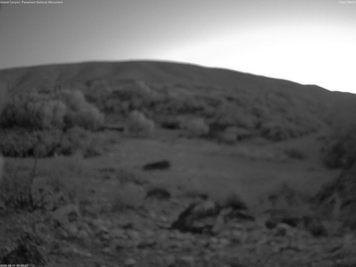 time-lapse frame, Tassi Ranch webcam