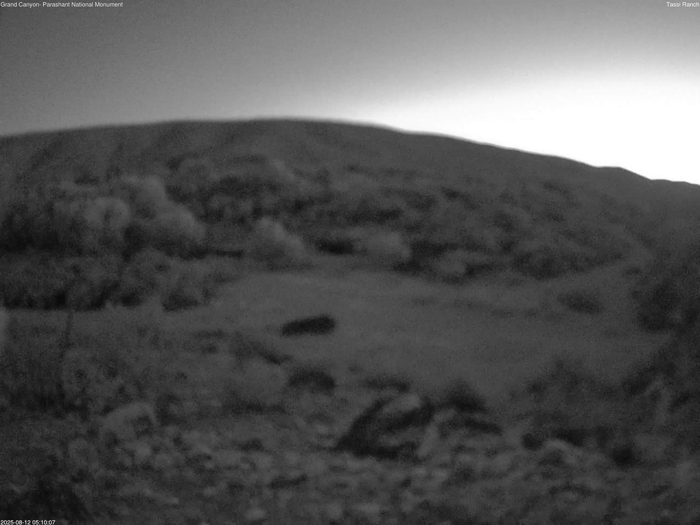 time-lapse frame, Tassi Ranch webcam