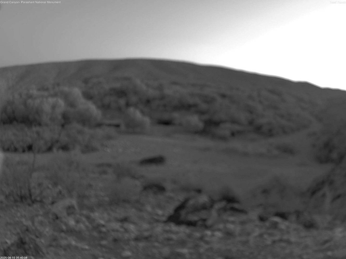 time-lapse frame, Tassi Ranch webcam