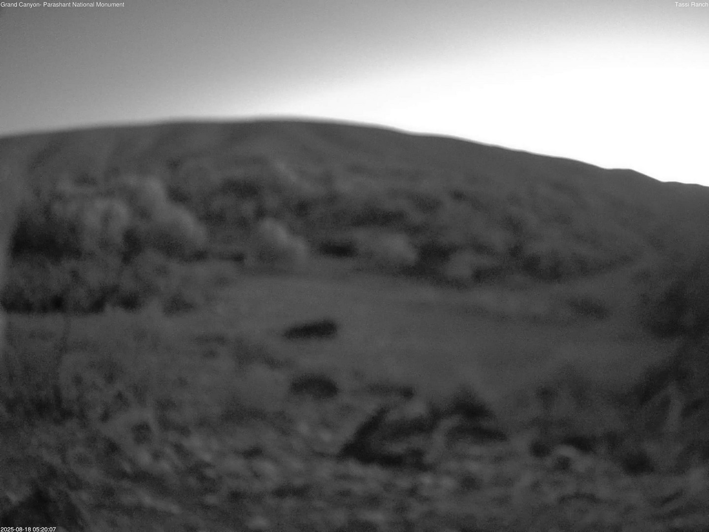 time-lapse frame, Tassi Ranch webcam