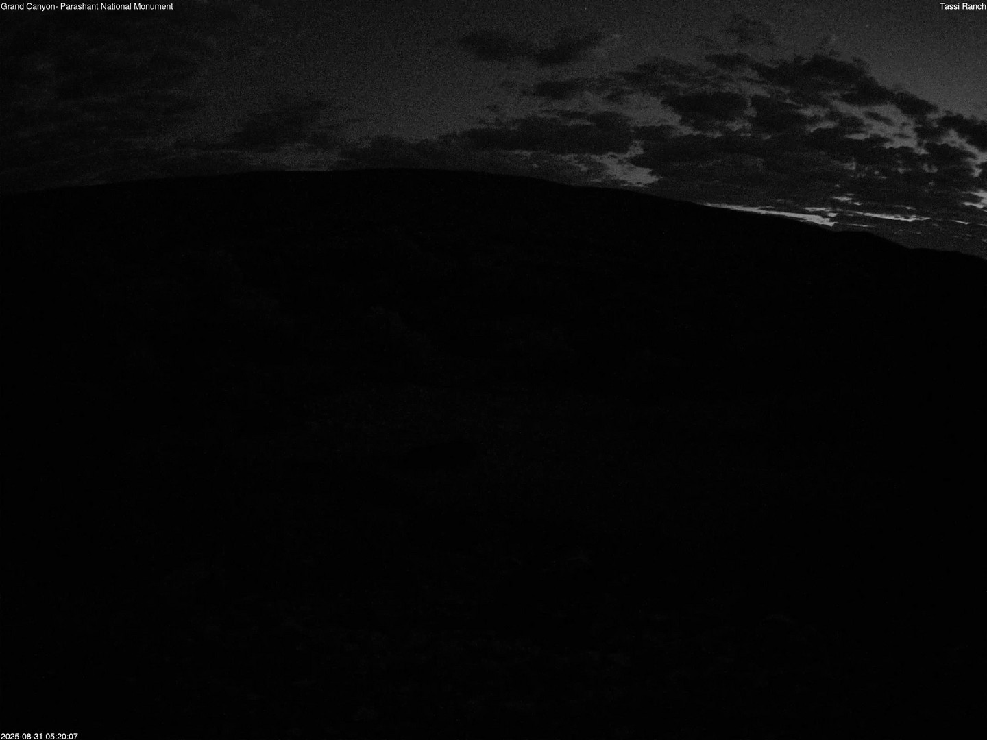 time-lapse frame, Tassi Ranch webcam