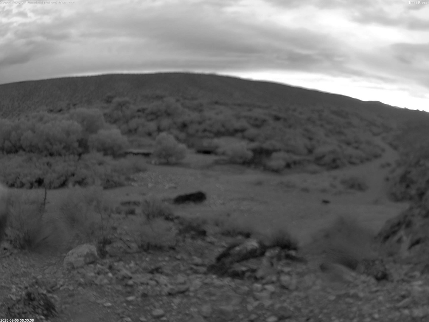 time-lapse frame, Tassi Ranch webcam