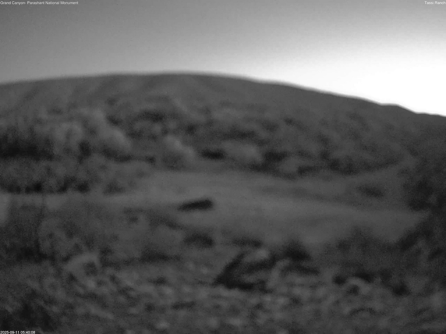 time-lapse frame, Tassi Ranch webcam
