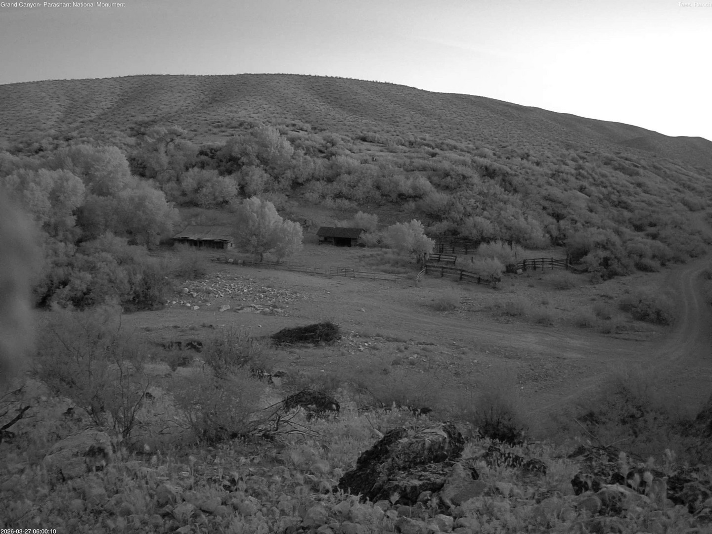 time-lapse frame, Tassi Ranch webcam
