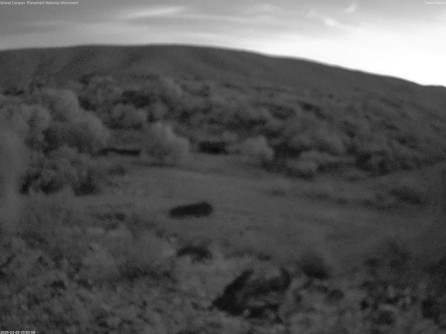 time-lapse frame, Tassi Ranch webcam