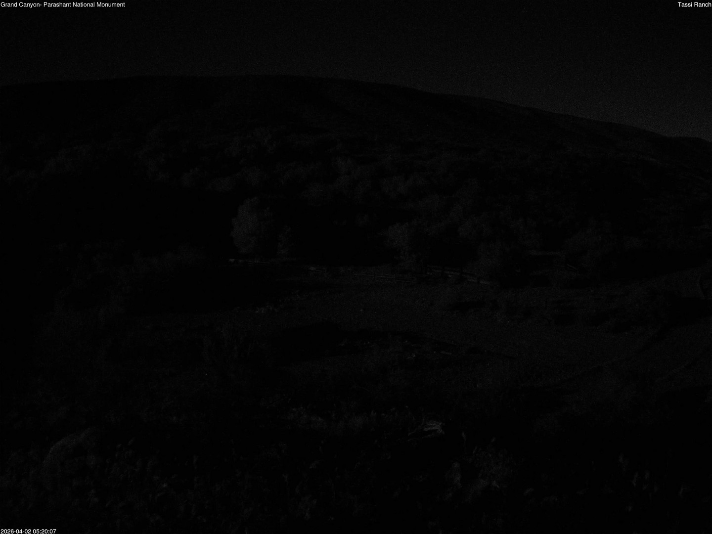 time-lapse frame, Tassi Ranch webcam