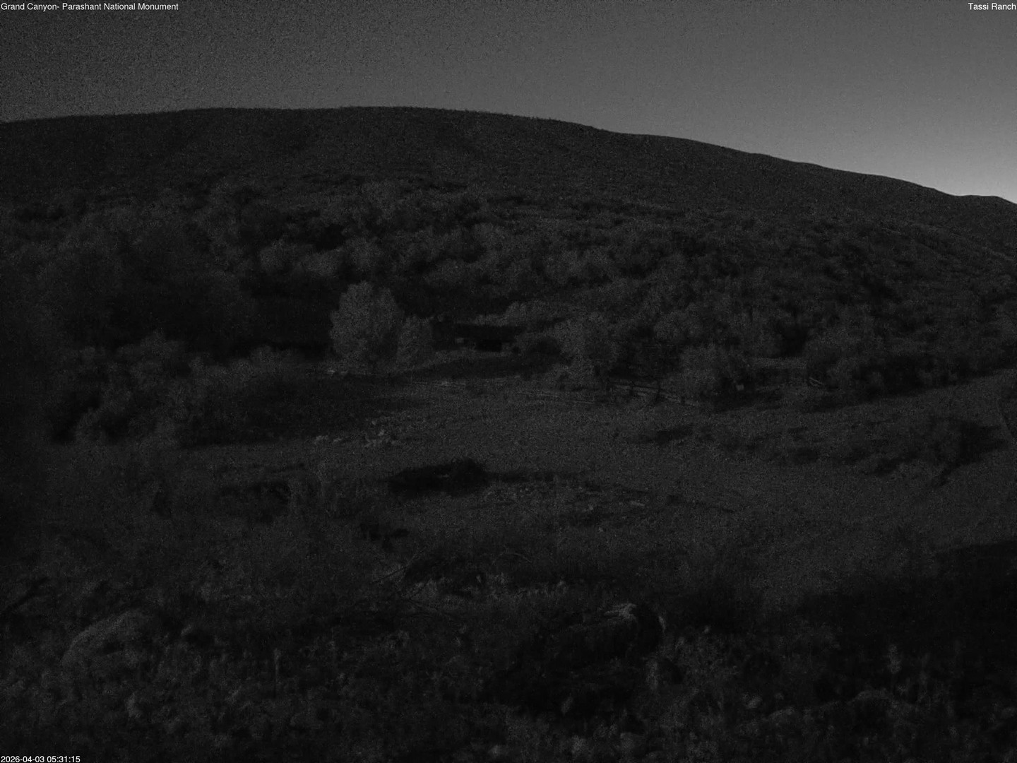 time-lapse frame, Tassi Ranch webcam