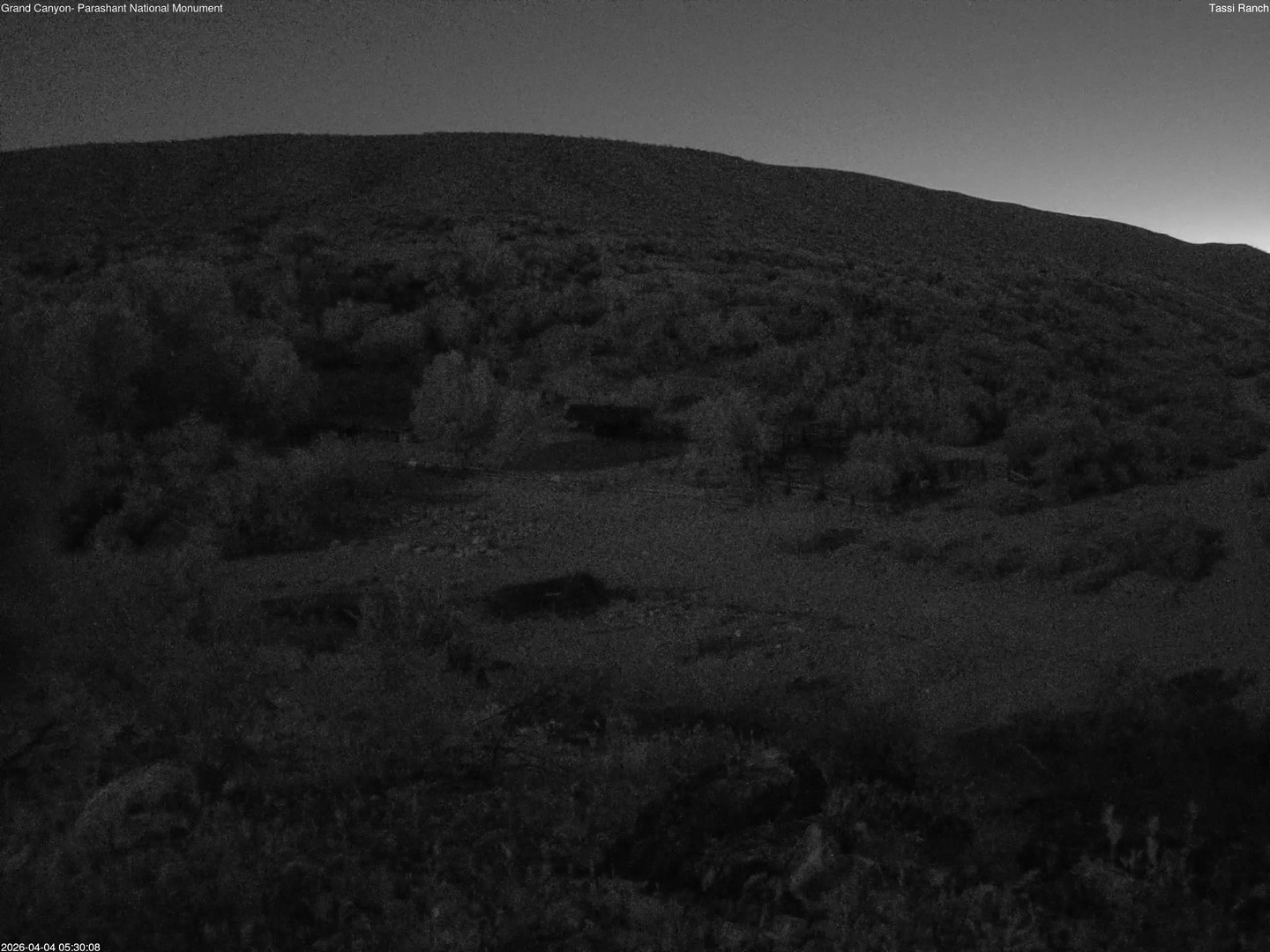 time-lapse frame, Tassi Ranch webcam