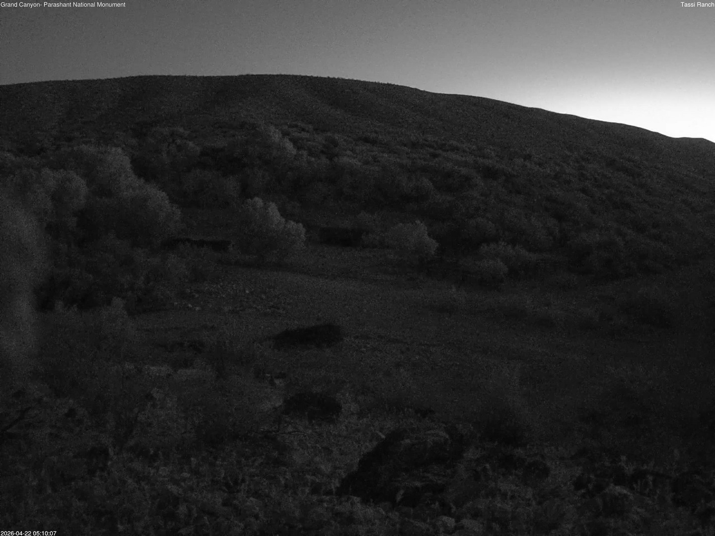 time-lapse frame, Tassi Ranch webcam