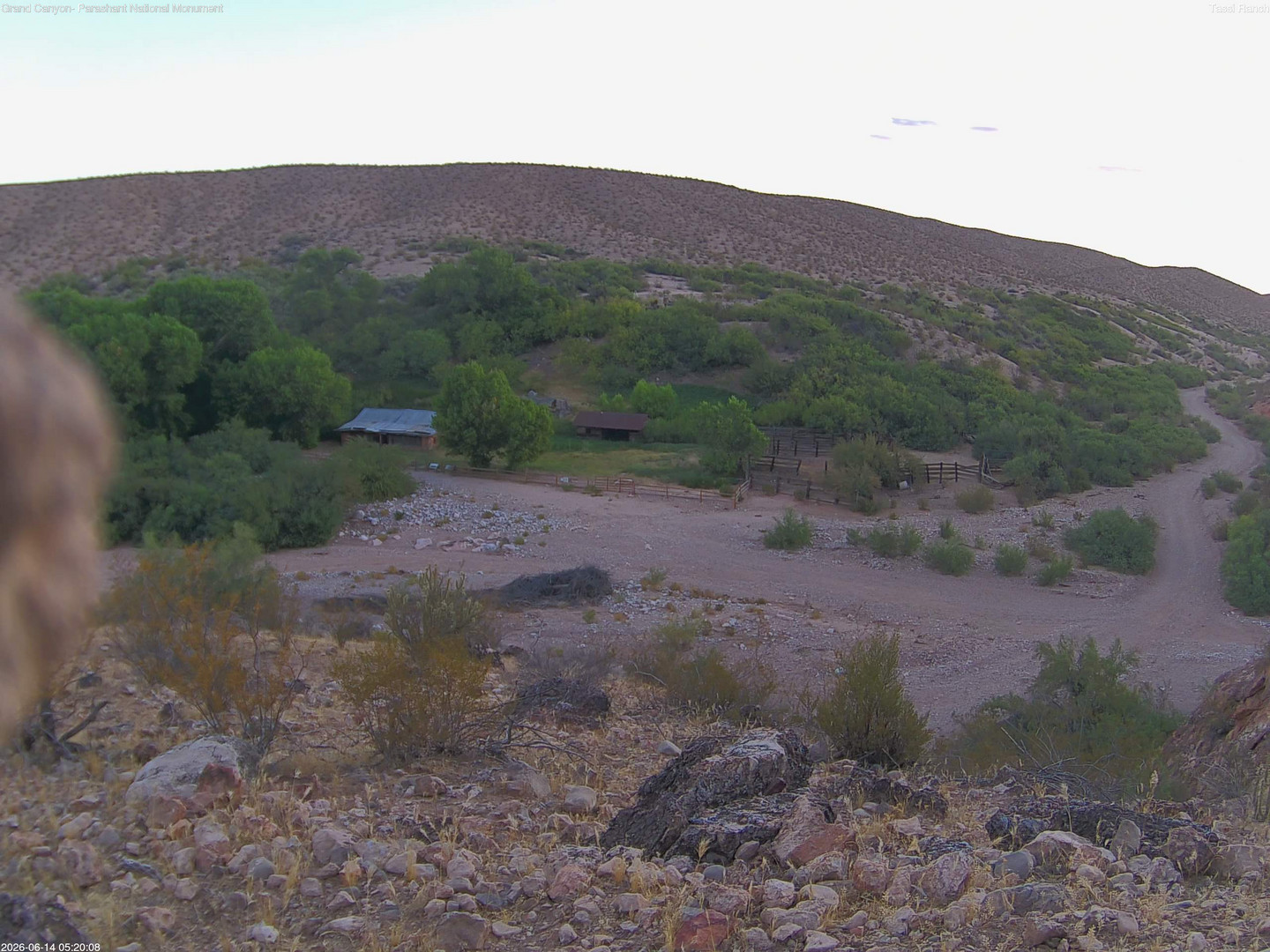 time-lapse frame, Tassi Ranch webcam