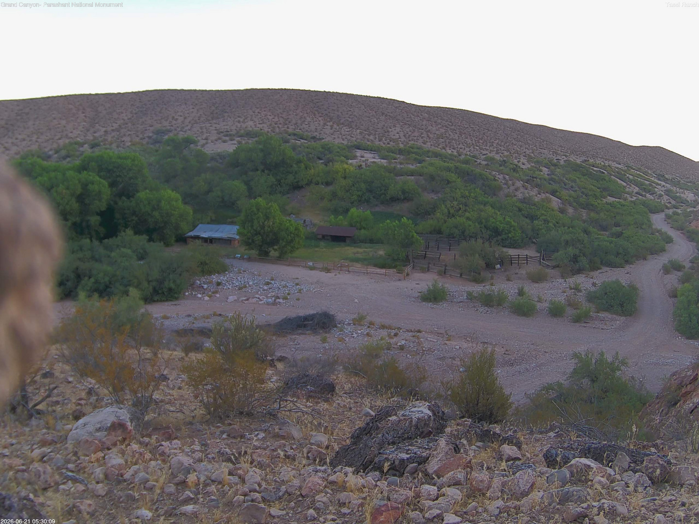time-lapse frame, Tassi Ranch webcam