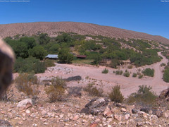 view from Tassi Ranch on 2026-06-22