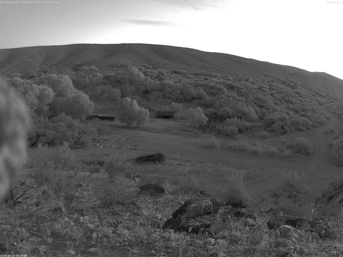 time-lapse frame, Tassi Ranch webcam