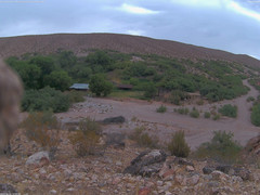 view from Tassi Ranch on 2026-06-24
