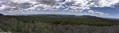 view from Mt Logan on 2025-05-09