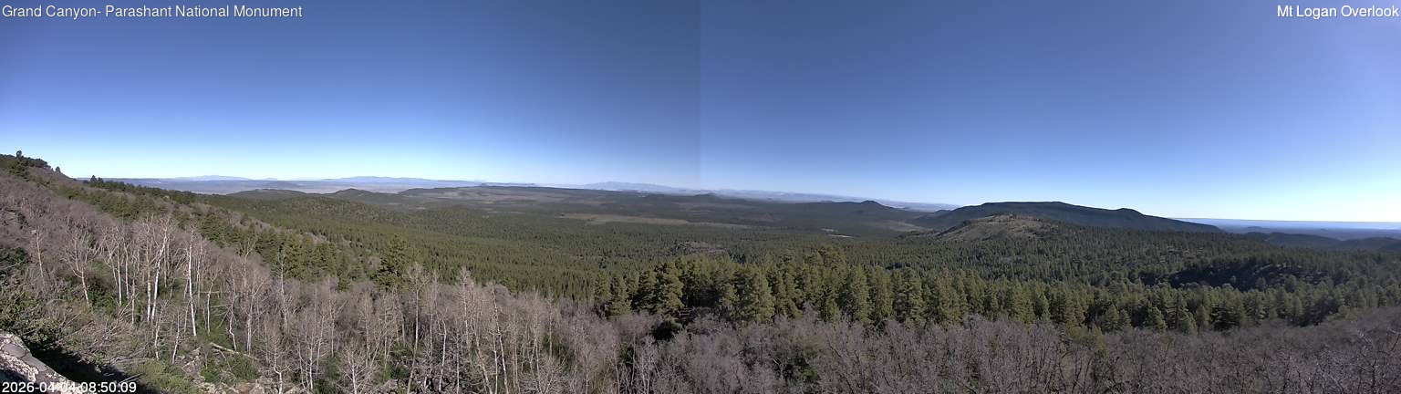time-lapse frame, Mt Logan webcam