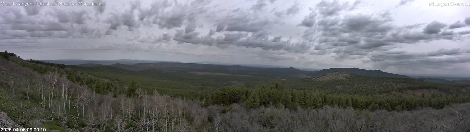 time-lapse frame, Mt Logan webcam