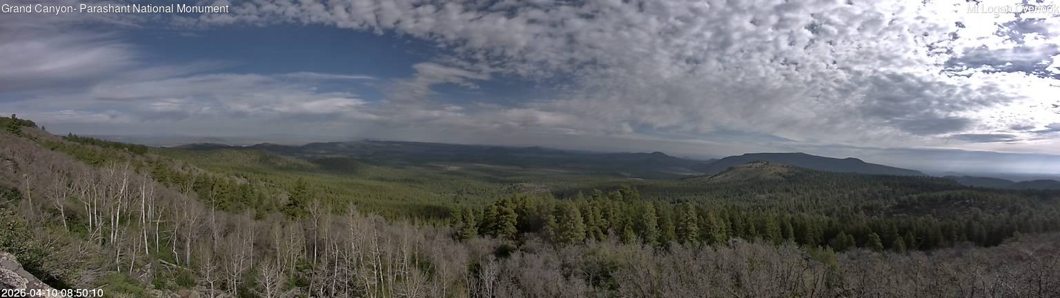 time-lapse frame, Mt Logan webcam
