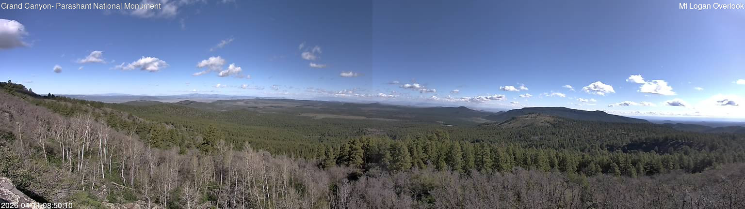 time-lapse frame, Mt Logan webcam