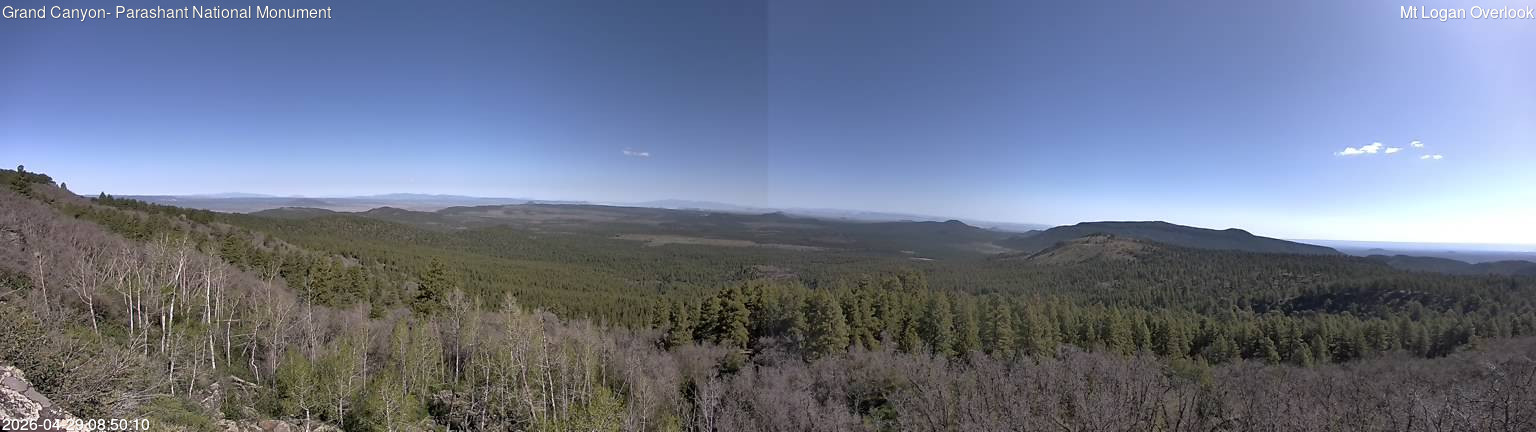 time-lapse frame, Mt Logan webcam