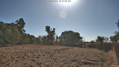 view from CreekCam on 2025-05-10