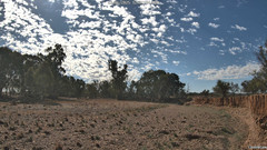 view from CreekCam East on 2025-06-23