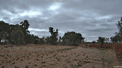 view from CreekCam East on 2025-06-27
