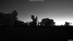 view from CreekCam East on 2025-07-04