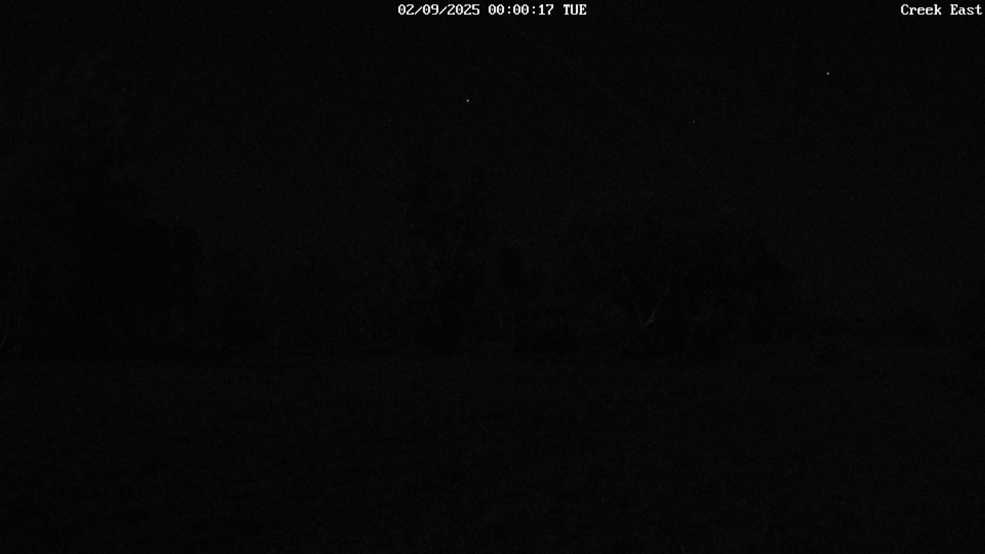 time-lapse frame, CreekCam East webcam