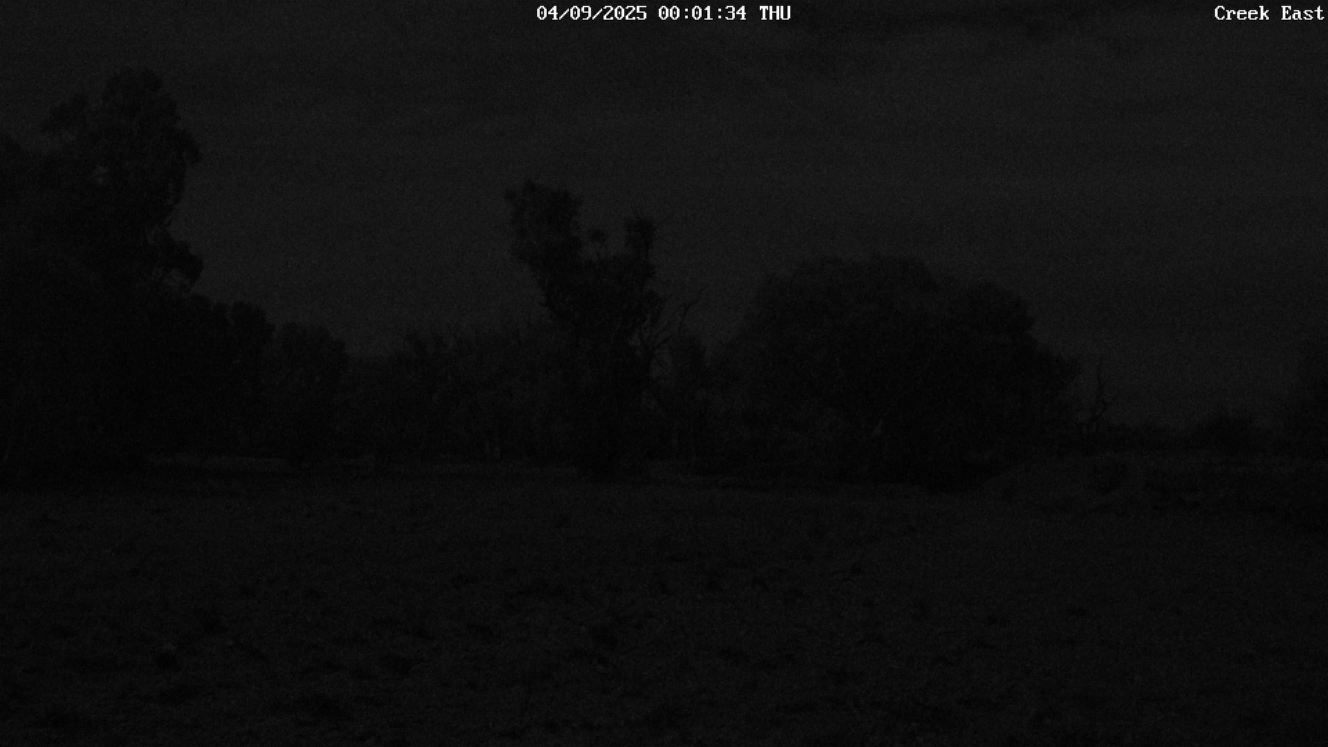 time-lapse frame, CreekCam East webcam