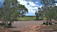 view from CreekCam East on 2026-04-06