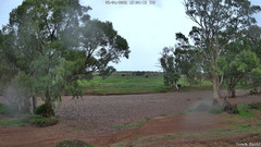 view from CreekCam East on 2026-04-09